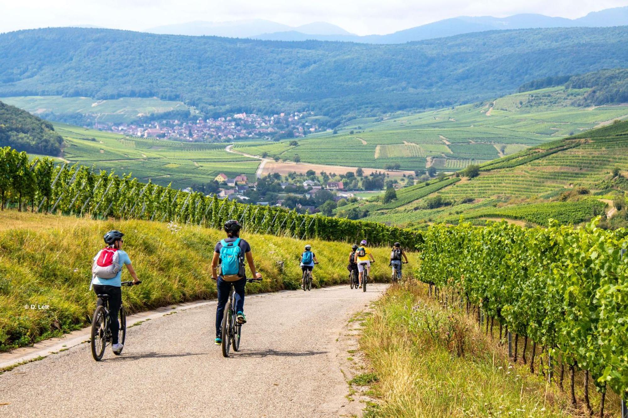 Domaine Bohème I Art De Vivre Guebwiller